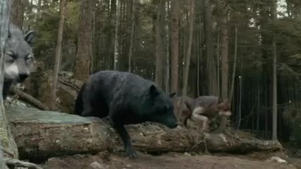 Eclipse - Tv Spot Starting 