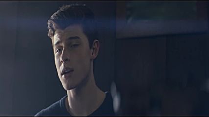 Shawn Mendes - Never Be Alone, 2014