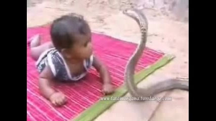 Бебе играе с кобра 