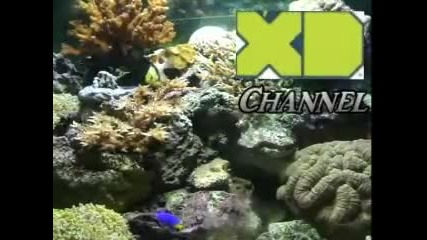 Xd Channel - Промо