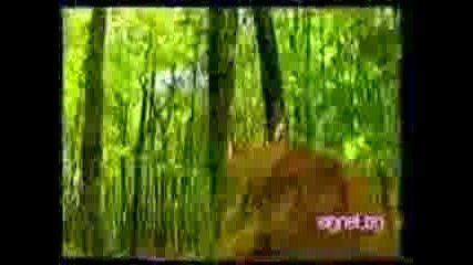 Румяна - Филм - 4 част