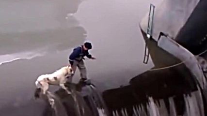 Руснаци спасяват куче застанало на преливника на язовир !