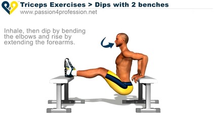 Triceps Exercises dips 2 benches