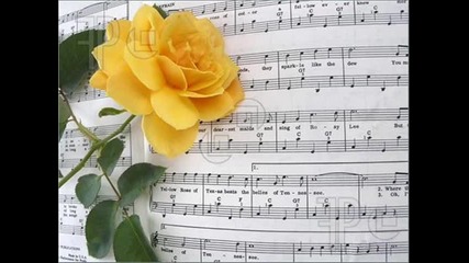 Michael Martin Murphey - The yellow rose of Texas (жълтата роза на Тексас)