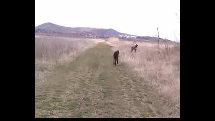 Стойки И Секундиране
