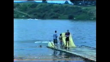 Bmx Lake Jumping