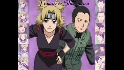 Shikatema Amv