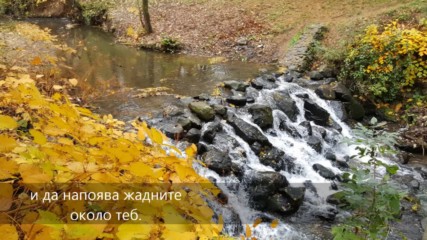 Да бъде силата ти в тези трите... (стих, пожелание)