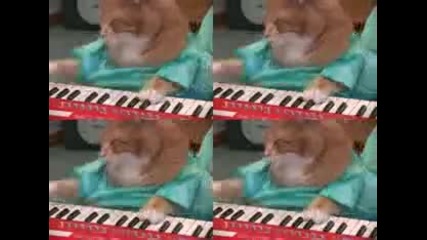 Яко коте свири