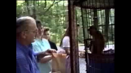 snimki na sme6ni jivotni 3