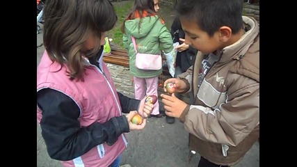 Sam_0311