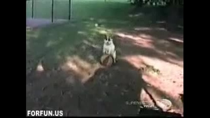 Много Смешна Компилация!
