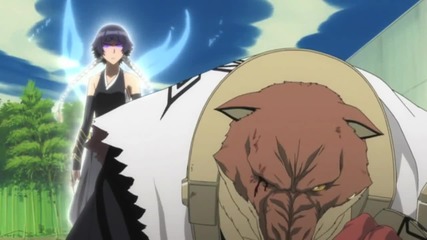 Bleach Amv Komamura vs Soifon ♫