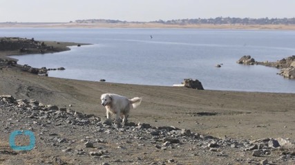 California Orders Unprecedented Water Restrictions Amid Drought