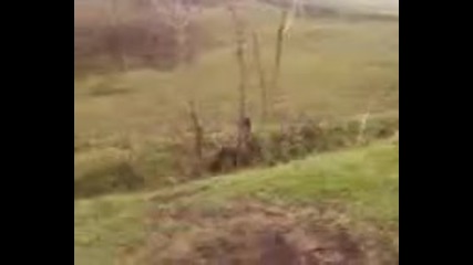с. Ореховица - анатоли се прибива