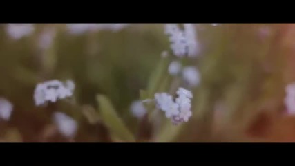 (2012) Neonfly - A Gift To Remember