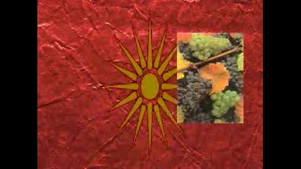 Sum Se Rodil Meraklija Na Vinoto Em Rakija
