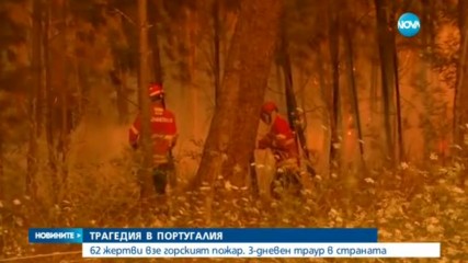 ПОЖАРИТЕ В ПОРТУГАЛИЯ: Повечето жертви са се задушили в колите си