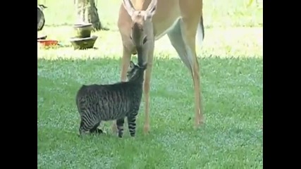 Толкова много любов и грижа! -