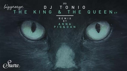 Dj Tonio - King ( Pig And Dan Remix )