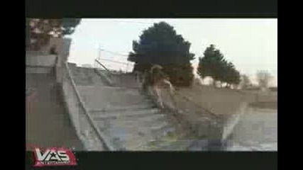Много тъпи хора