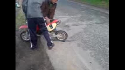 Pavkata1