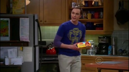 The Big Bang Theory s05e21