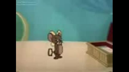 Tom&jerry Gipsy Cats - Parodia