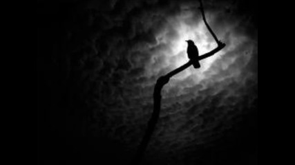 Cryptic Wintermoon- Darkness Forever
