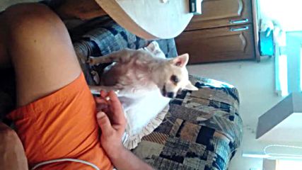Lenovo_a1000_vid_20160720_153349
