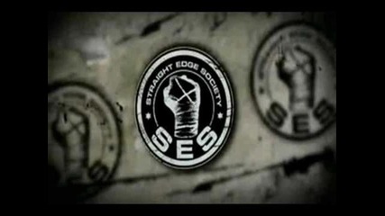 new cm punk