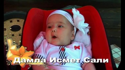 Дамла