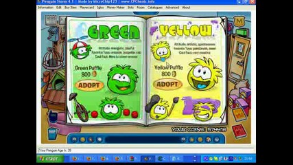 white and gold puffle 