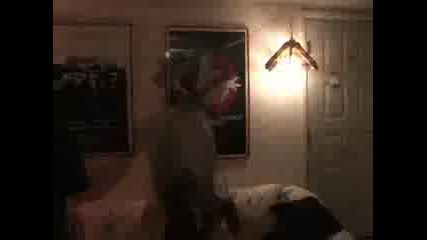50 Cent - In Da Club - Parody