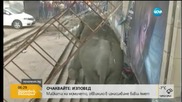 Див слон вилня в индийско село