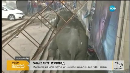 Див слон вилня в индийско село
