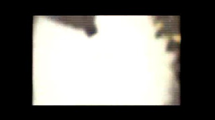 Vip Brother 3 - Видео визитка на Емил Кошлуков