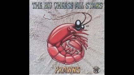Big Cheese All Stars - Prawns - 13 - I m gonna love you remix 1995 
