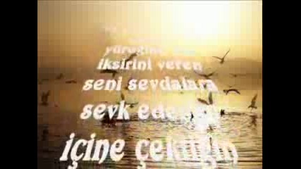 Erol Budan Seni Seviyorum