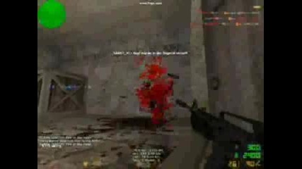 Counter Strike - Alegro &amp; Novalyfe 