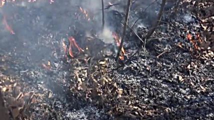 Гасиха пожар в двора на пловдивско училище