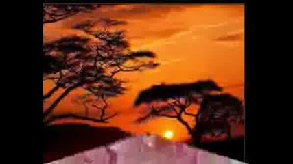 Richard Clayderman - Star Dust