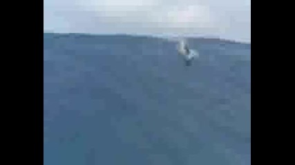 Сърфиране На Огромна Вълна :)