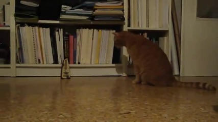 Котка и метроном. Голям смях!