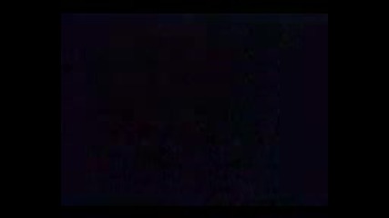 Tom Djery (bg parody) [www.keepvid.com]