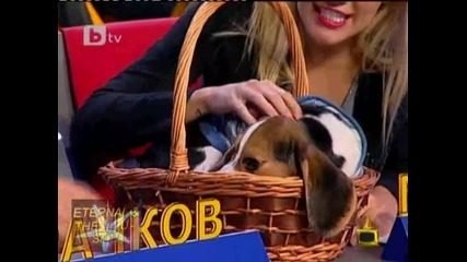 Ще се обиждаме ли, 19 октомври 2010, Господари на ефира 