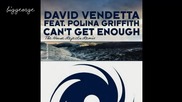 David Vendetta ft. Polina Griffith - Can't Get Enough ( The House Rejects Remix ) Preview