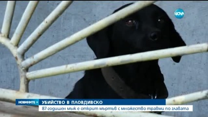 Пребиха до смърт възрастен мъж в Пловдивско