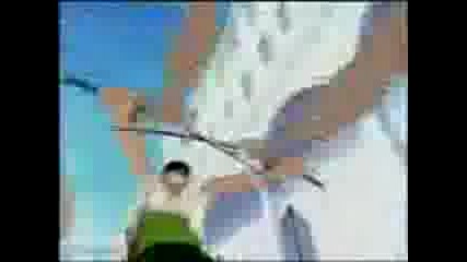 One Piece Amv