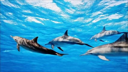 Summer trance 2012. Demex - Ocean Waves (original mix)